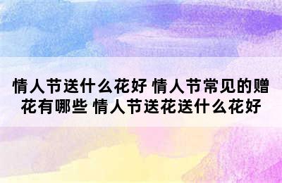 情人节送什么花好 情人节常见的赠花有哪些 情人节送花送什么花好